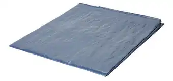 Brico Dépôt Bâche légère 2 m x 3 m offre