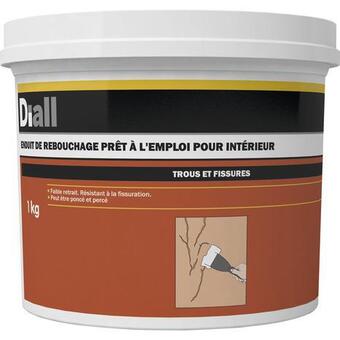 Brico Dépôt Diall enduit de rebouchage en pâte 1 kg offre