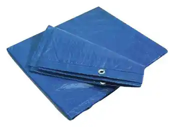 Brico Dépôt Bâche bleu 70gm 3x4m offre