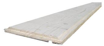 Brico Dépôt Planche de rive offre