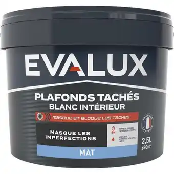 Brico Dépôt Evalux peinture blanche intérieur plafonds mat 2,5 l offre