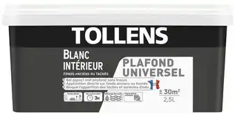 Brico Dépôt Tollens peinture intérieure monocouche plafonds tachés blanc mat 2.5 l offre