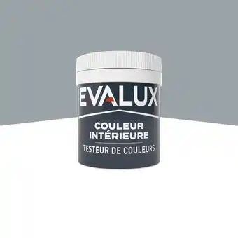 Brico Dépôt Evalux testeur peinture mur intérieur mat 0,05 l gris étain offre