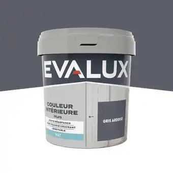Brico Dépôt Evalux peinture mur intérieur mat 0,75 l gris ardoise offre