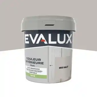 Brico Dépôt Evalux peinture mur intérieur satin 0,75 l gris galet offre