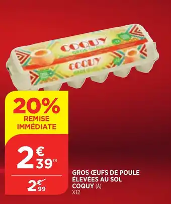 Bi1 Gros œufs De Poule offre