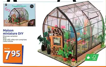 Action Maison miniature DIY offre