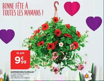 Suspensions Florales