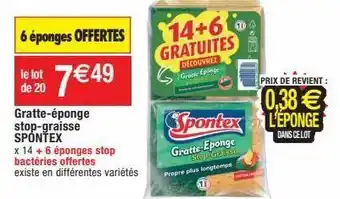 Éponge spontex