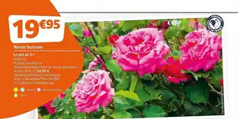 Jardiland Rosier Buisson offre
