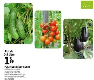Auchan Plants de légumes bio offre