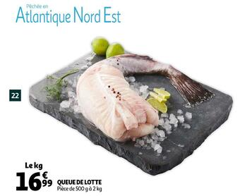 Auchan Queue de lotte offre