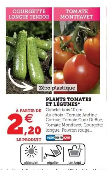 Hyper U Plants tomates et légumes offre
