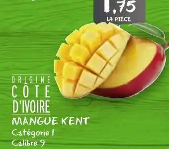 G20 Mangue kent offre