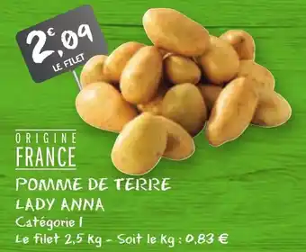 G20 Pomme de terre lady anna offre