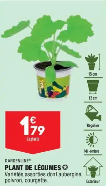 ALDI Gardenline plant de légumes offre