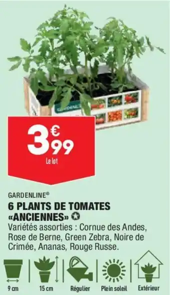 ALDI Gardenline 6 plants de tomates anciennes offre