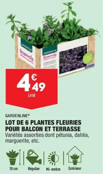 ALDI Gardenline lot de 6 plantes fleuries pour balcon et terrasse offre