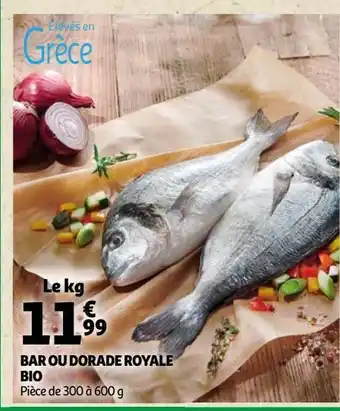 Auchan Bar ou dorade royale bio offre