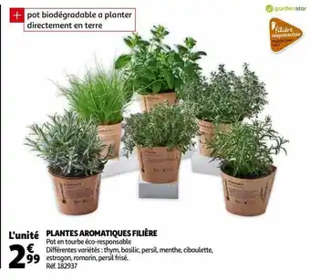 Auchan Plantes aromatiques filière offre