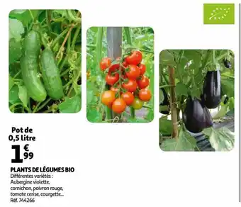 Auchan Plants de légumes bio offre