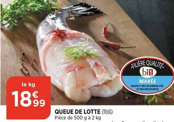 Bi1 Queue de lotte offre
