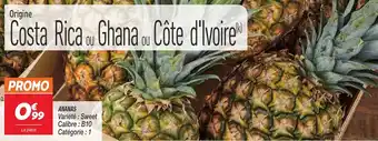 Netto Ananas offre
