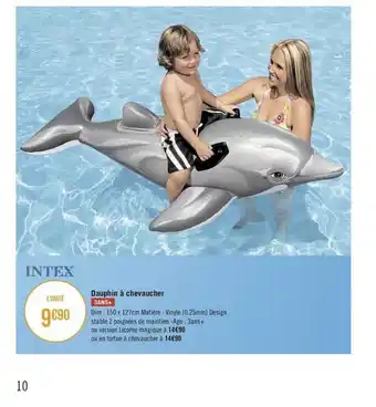 Dauphin à Chevaucher