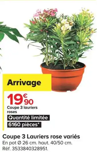 Castorama Coupe 3 lauriers rose variés offre