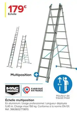Échelle multiposition