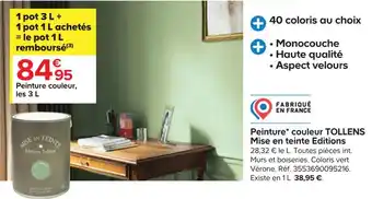 Castorama Tollens peinture* couleur tollens mise en teinte editions offre