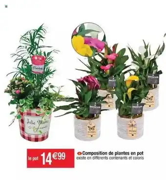 Composition De Plantes En Pot