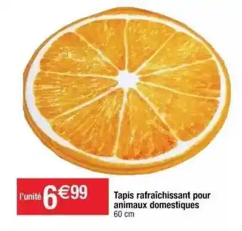 Cora x Carrefour Tapis Rafraîchissant Pour Animaux Domestiques offre
