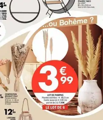 La Foir'Fouille Plantes offre