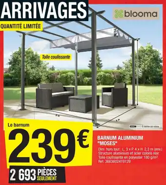 Brico Dépôt Barnum aluminium "moses" offre