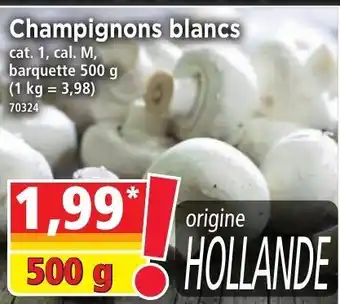 Norma Champignons blancs offre