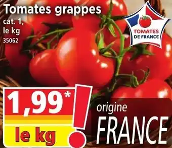 Norma Tomates grappes offre