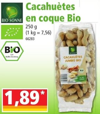 Cacahuètes en coque bio
