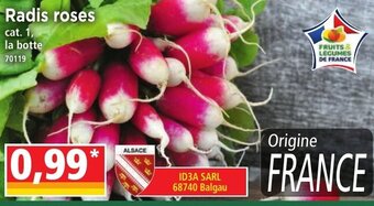 Norma Radis roses offre