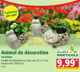 Norma Animal de décoration offre
