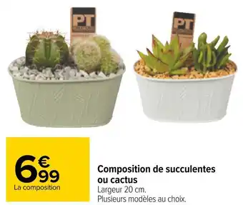Carrefour Composition de succulentes ou cactus offre