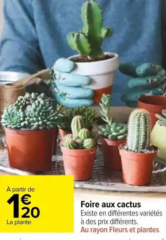 Carrefour Market Foire aux cactus offre