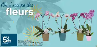 Carrefour Foire aux orchidées offre