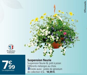 Carrefour Suspension fleurie offre