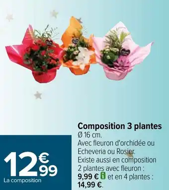 Carrefour Composition 3 plantes offre