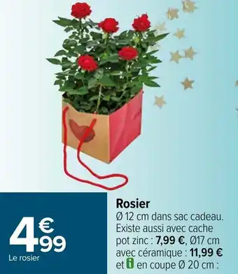 Carrefour Rosier offre