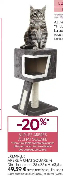 Truffaut Bon plan sur les arbres à chat square m offre