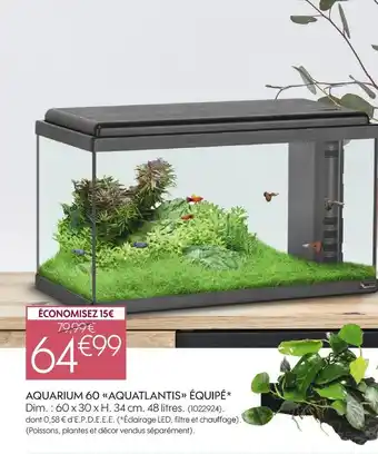 Truffaut Aquarium 60 aquatlantis équipé offre