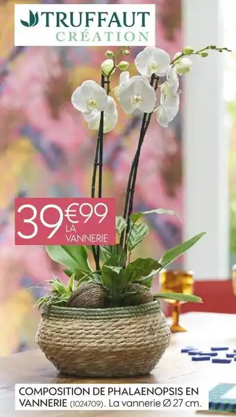 Truffaut Truffaut composition de phalaenopsis en vannerie offre