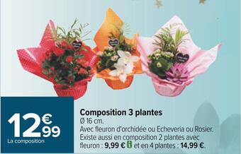 Carrefour Composition 3 plantes offre